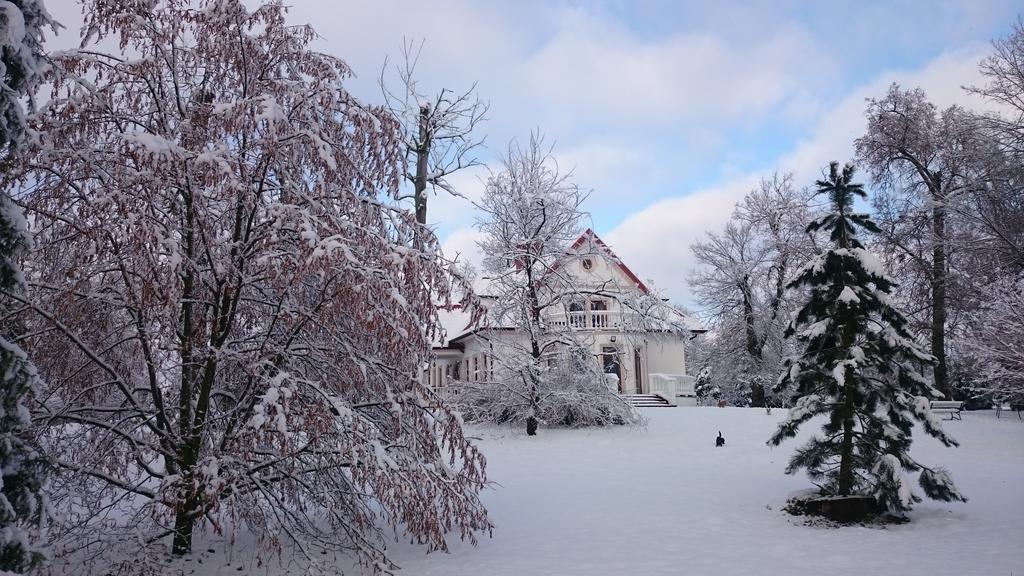 Dwor Osmolice Bed & Breakfast Bialki Dolne Bagian luar foto