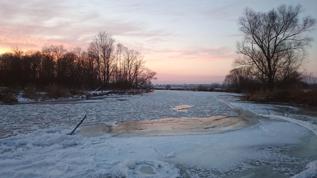 Dwor Osmolice Bed & Breakfast Bialki Dolne Bagian luar foto