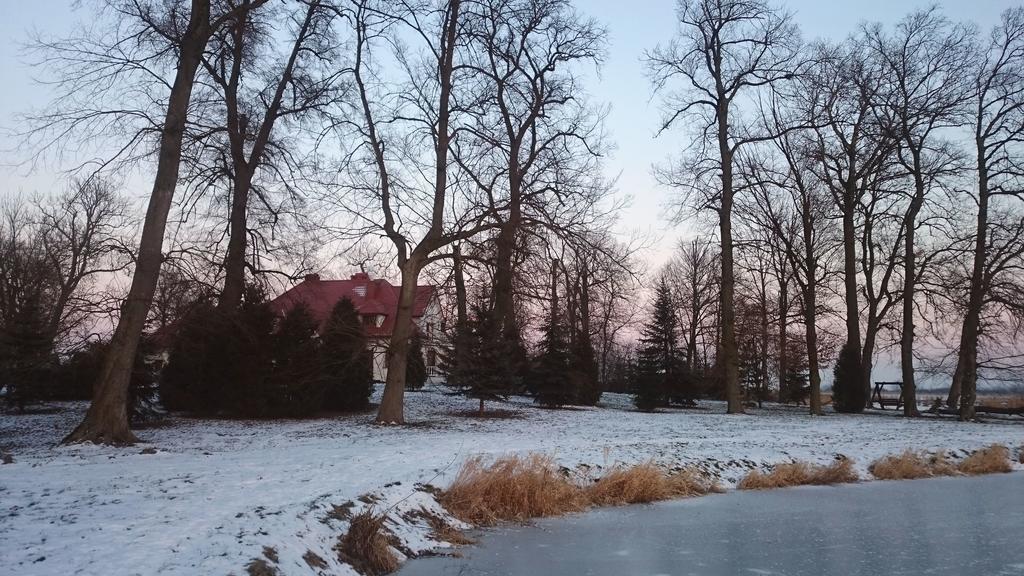 Dwor Osmolice Bed & Breakfast Bialki Dolne Bagian luar foto