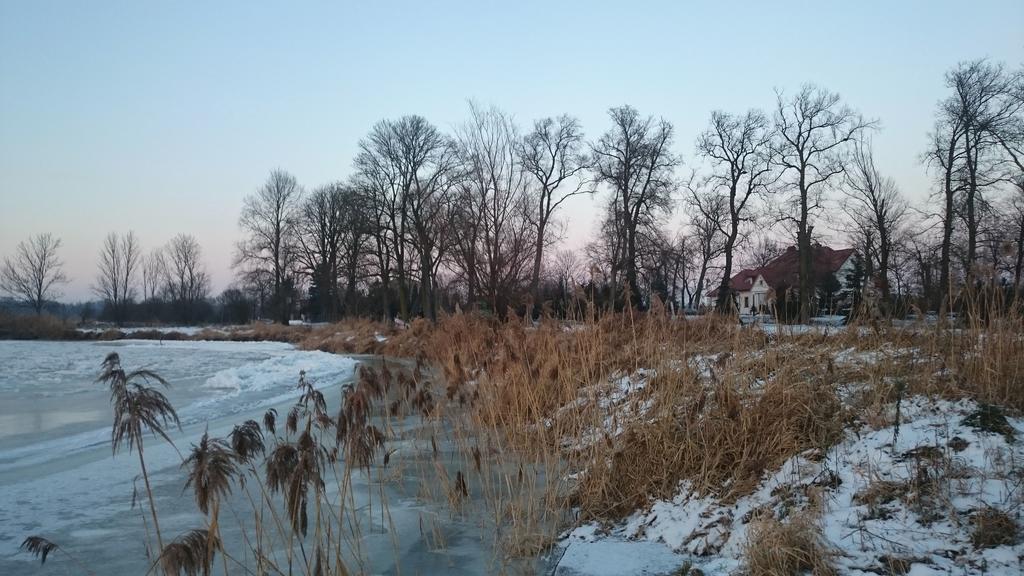 Dwor Osmolice Bed & Breakfast Bialki Dolne Bagian luar foto