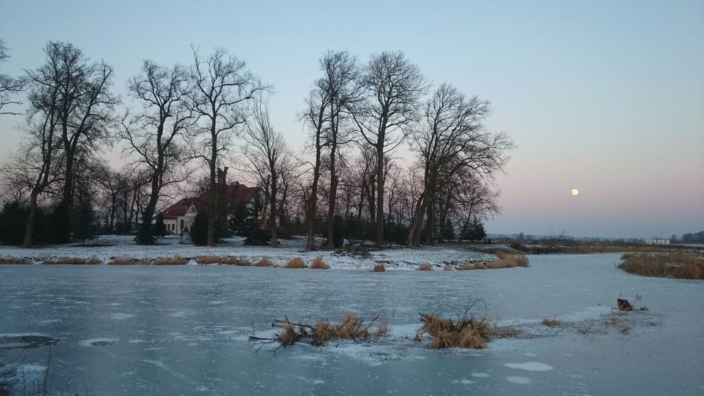 Dwor Osmolice Bed & Breakfast Bialki Dolne Bagian luar foto