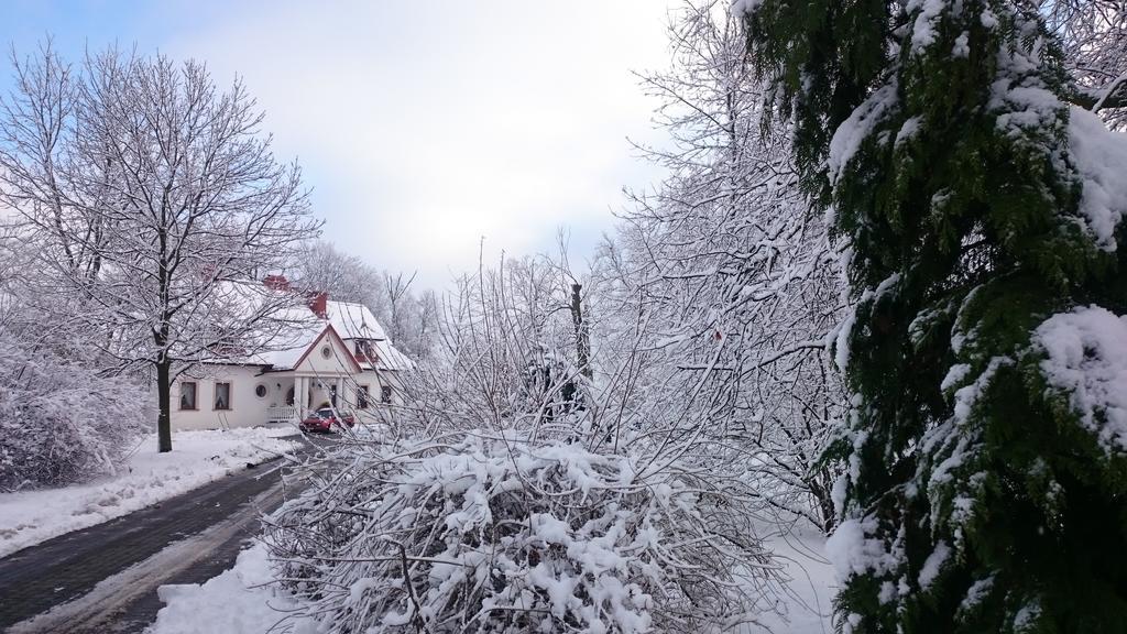 Dwor Osmolice Bed & Breakfast Bialki Dolne Bagian luar foto