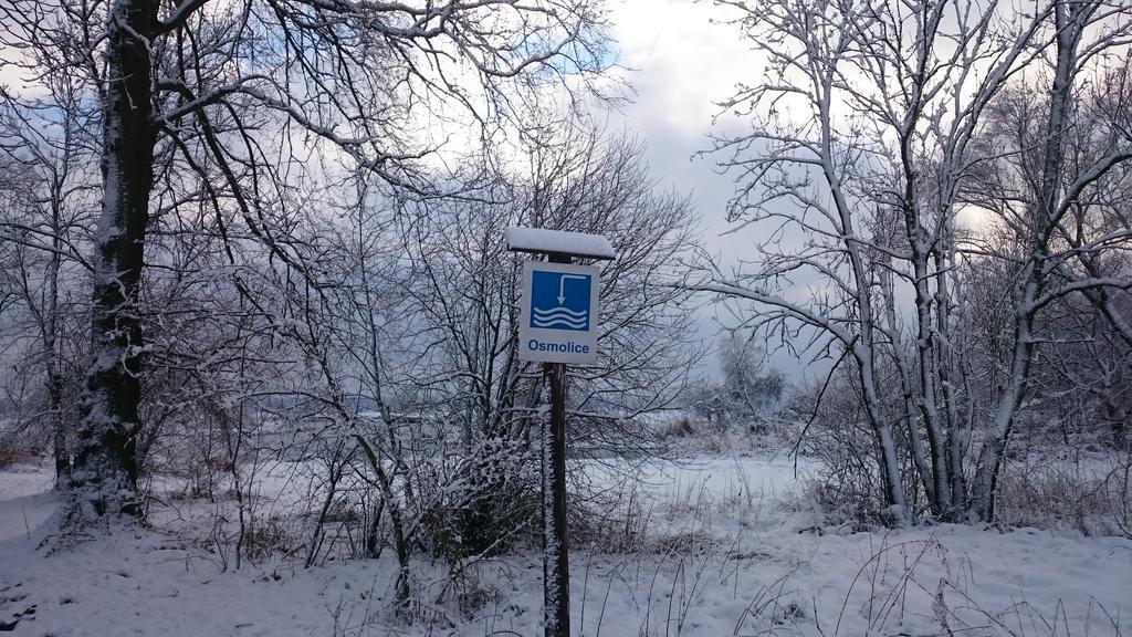 Dwor Osmolice Bed & Breakfast Bialki Dolne Bagian luar foto