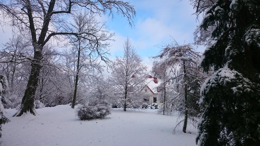 Dwor Osmolice Bed & Breakfast Bialki Dolne Bagian luar foto