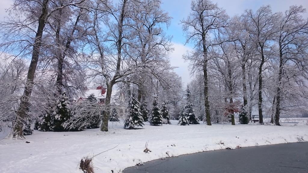 Dwor Osmolice Bed & Breakfast Bialki Dolne Bagian luar foto